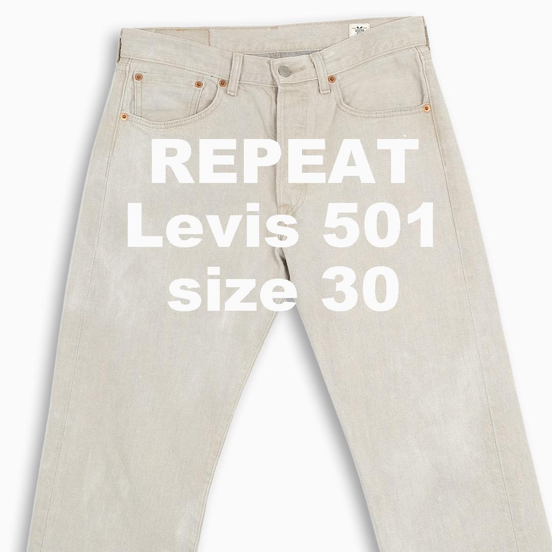 Levis 501 30 size(LV50132248)