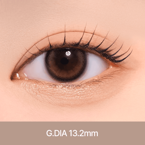 마리나 [ 브라운 ] 원데이 10EA