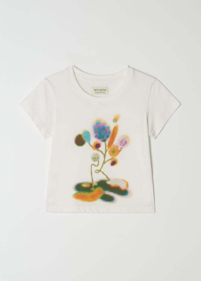 Swampy T the Pond-lily