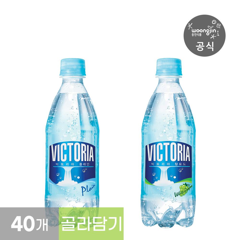 빅토리아 탄산수 탄산음료 500mL 페트 40개 (택2)