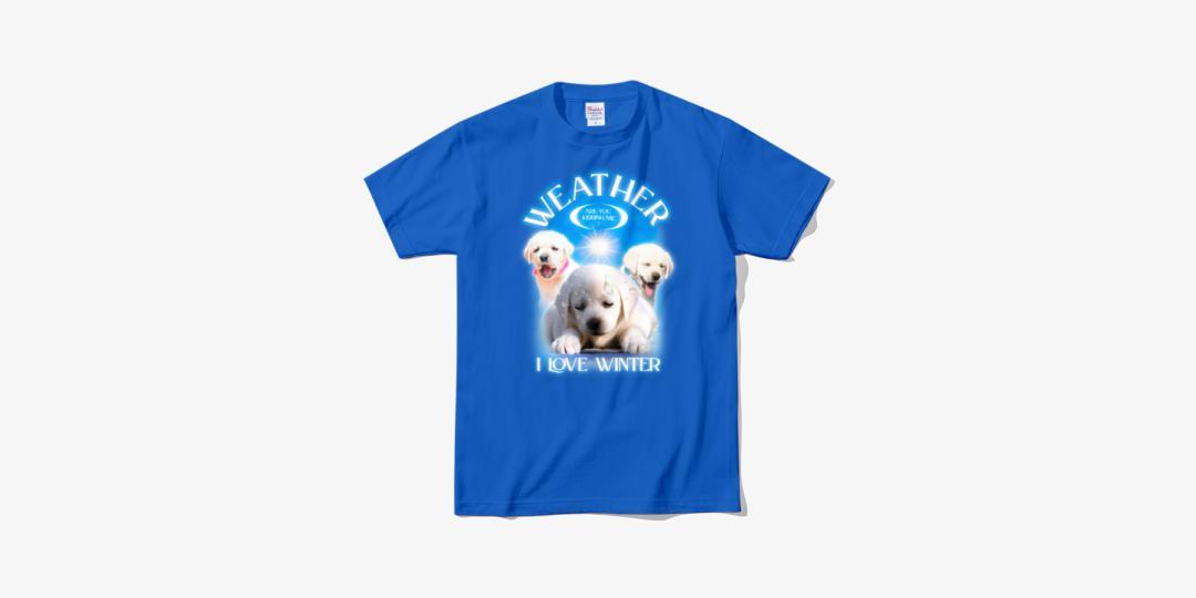 날씨 실화냐 소프트