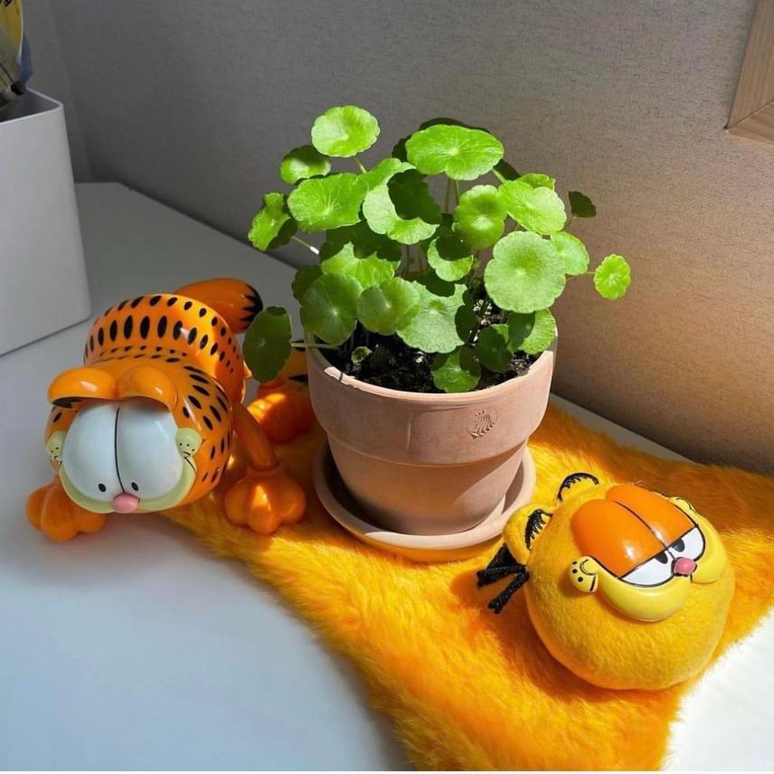 가필드 미니 매트