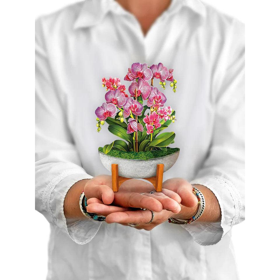Mini Orchid Oasis Pop-up Notecard