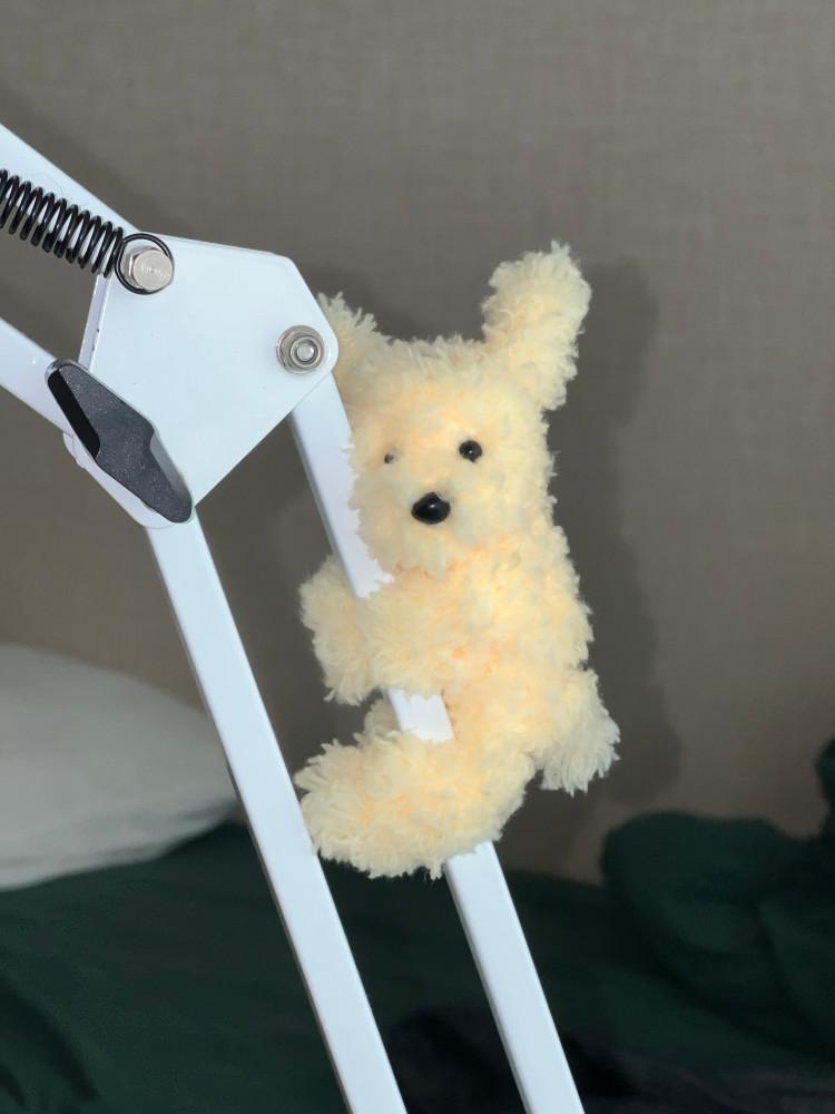 베이비 노키 키링 노멀 버전