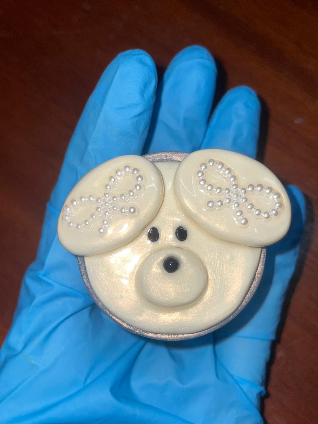 크림진주알 댕댕이톡