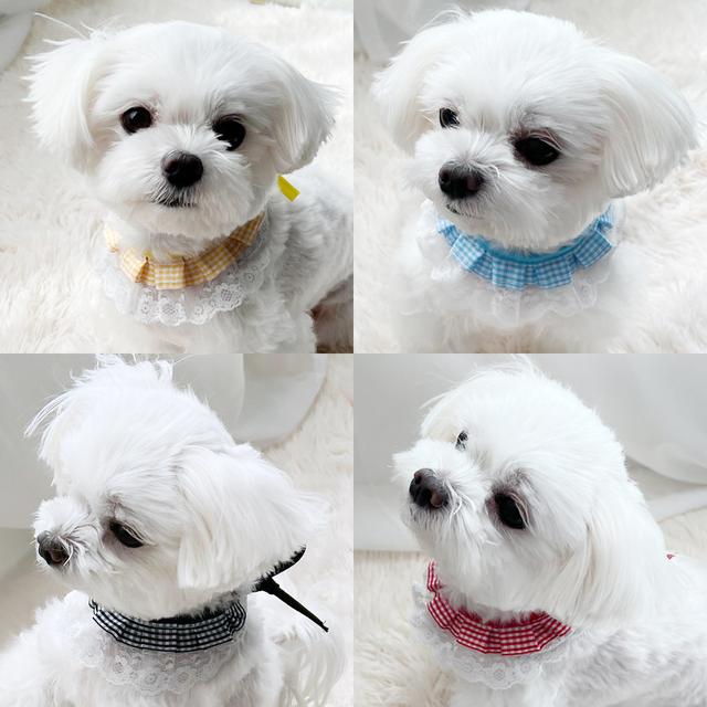 강아지 스카프 케이프 고양이 체크 레이스 턱받이