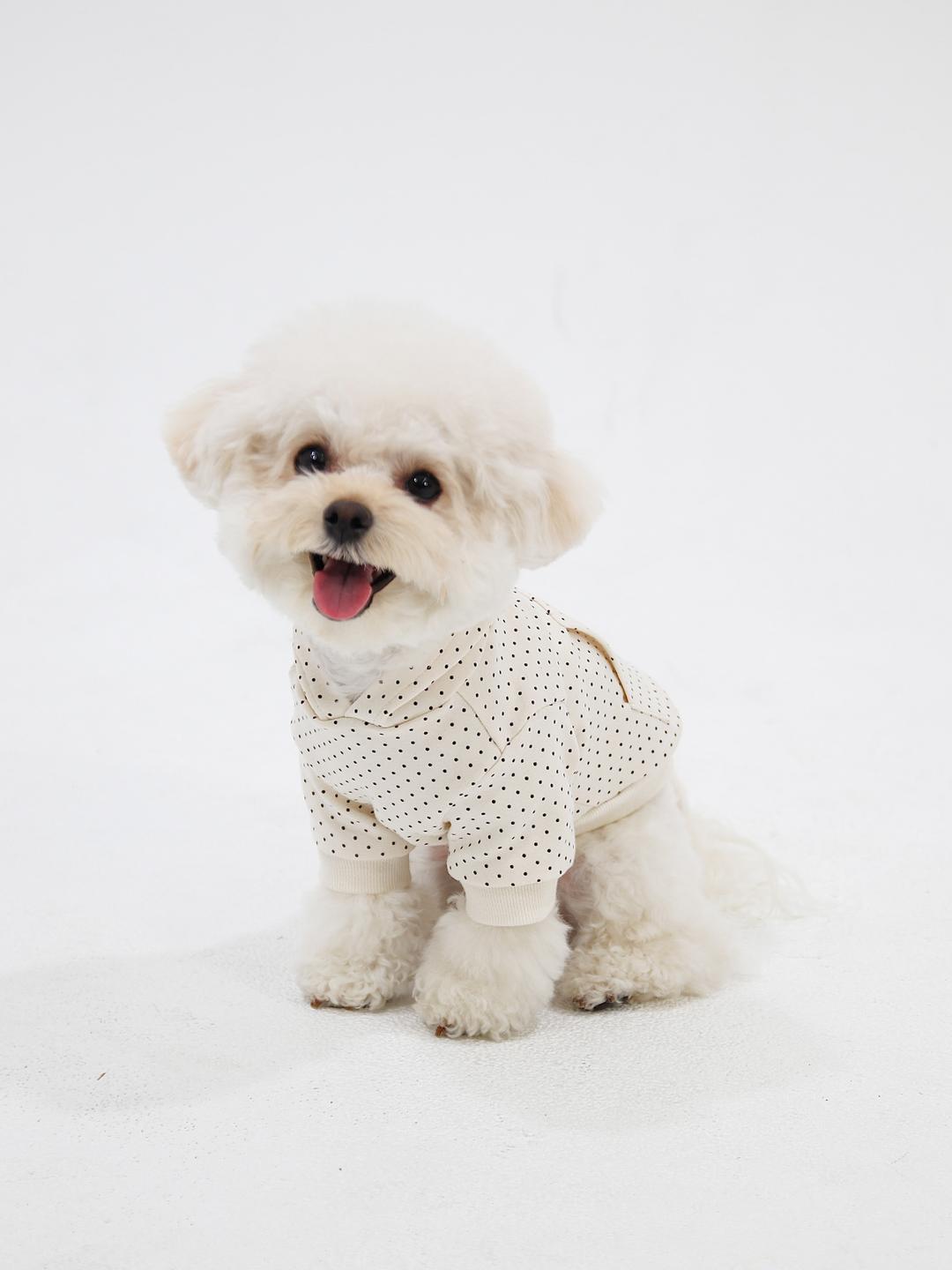 도트 후드티셔츠 (Ivory)