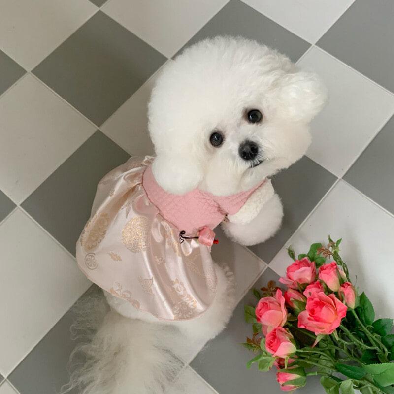 양반집 애기씨 도련님 강아지한복 / 명절 추석 설날 치마(핑크) S