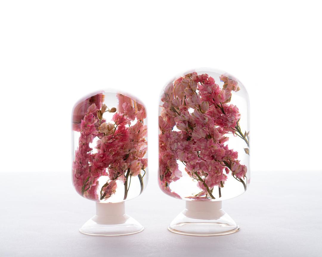 피스오브타임 - 핑크델피니움