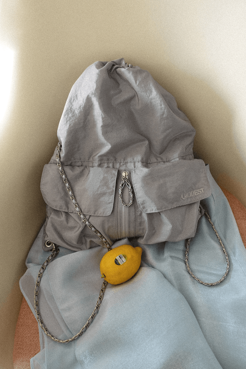Amodest Bag (silver)