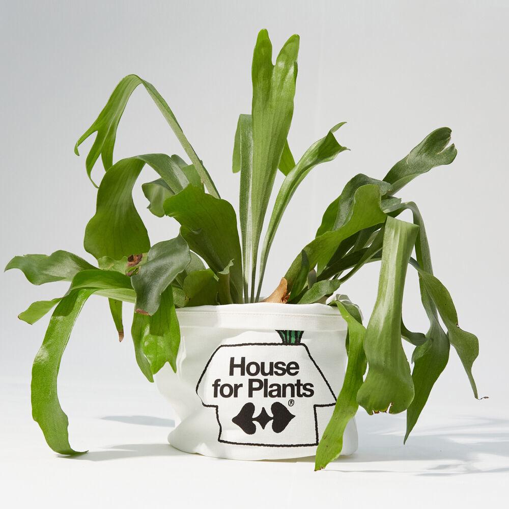 SCS Canvas Pot Cover - Medium SSGPXX109IV