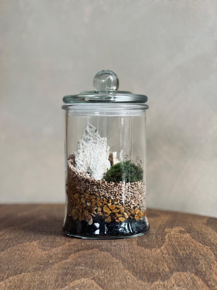 로한 스몰 테라리움 DIY 만들기 키트 이끼 공기정화 반려 식물 인테리어