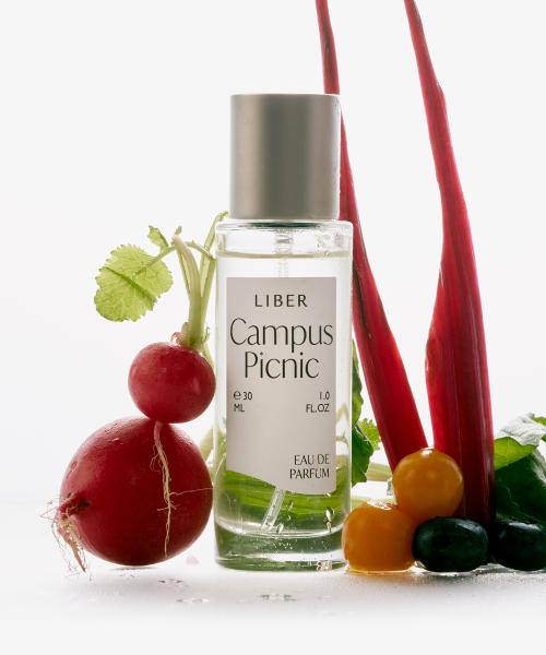 [베리 향수] 오 드 퍼퓸 30ml 캠퍼스 피크닉 Campus Picnic