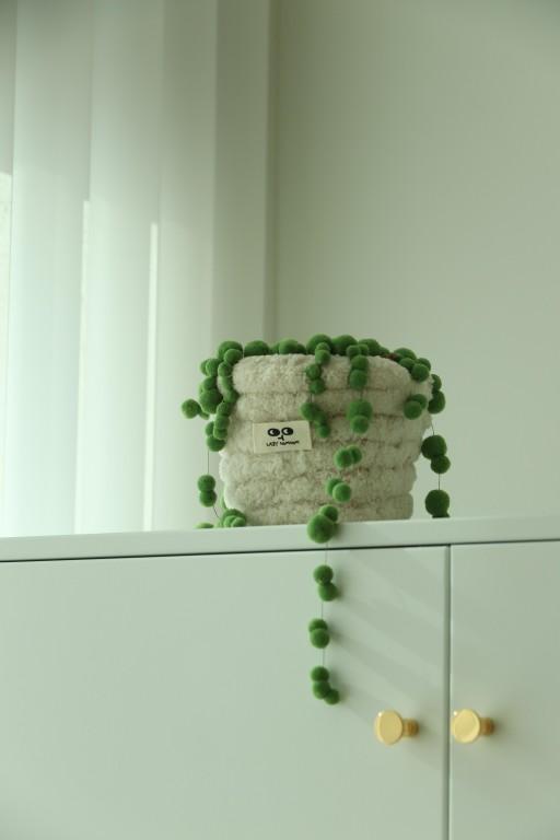 [콩란 인형] 똥글똥글 귀여운_포근식물 ⚆ㅅ⚆*`☆