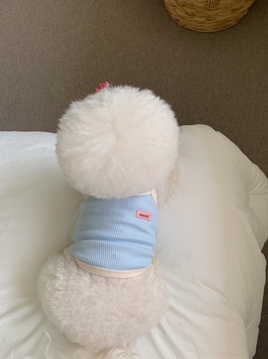 [4차] house crop top (blue)