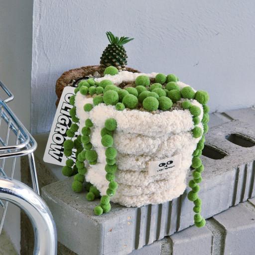 [콩란 인형] 똥글똥글 귀여운_포근식물 ⚆ㅅ⚆*`☆