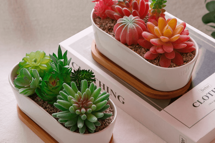 DIY 제올라이트 다육이 조화세트 C타입 천연제습기