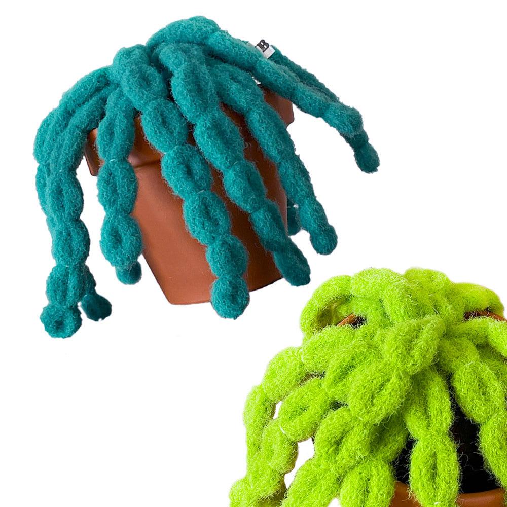 BongBong + Pot ( S size )