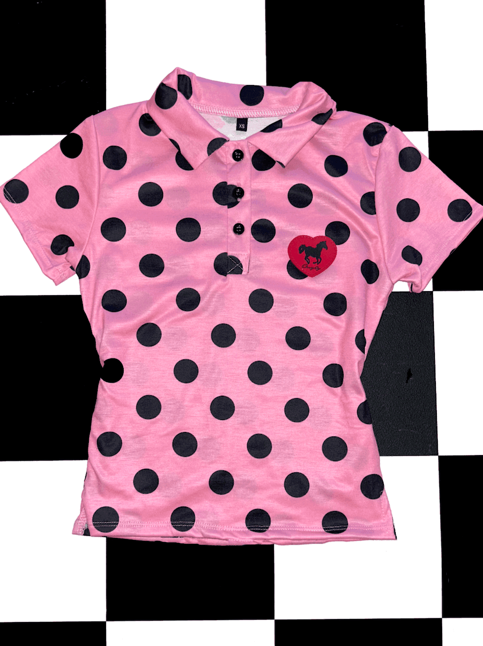 HORSE POLO IN BARBIE POLKA