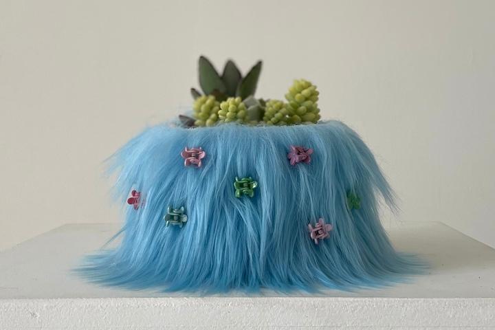 (코드삭스무료증정이벤트) 몬스터식물 직사각형 화분 플렌테리어 데크스테리어