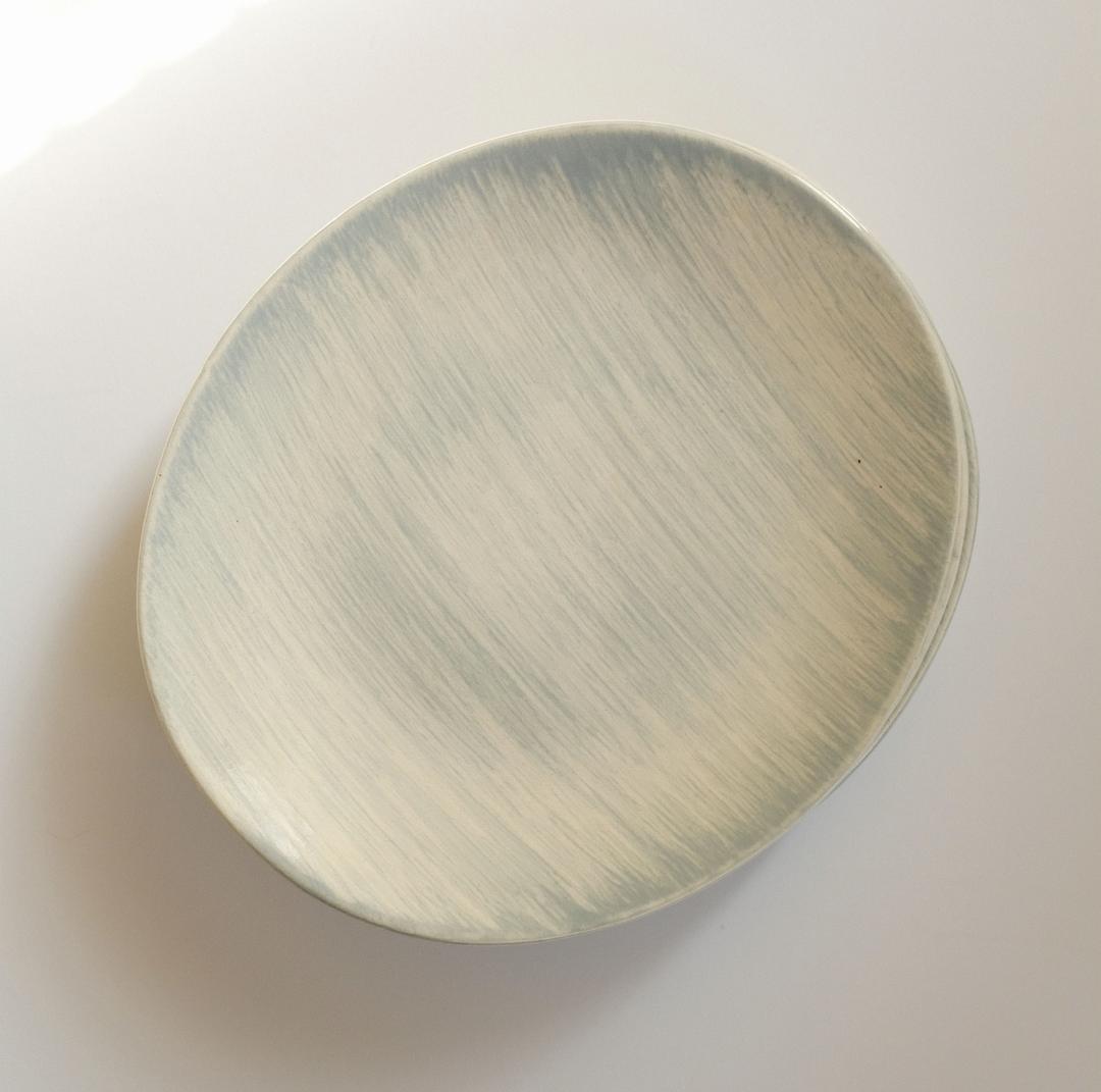 1950s french salins foggy plate