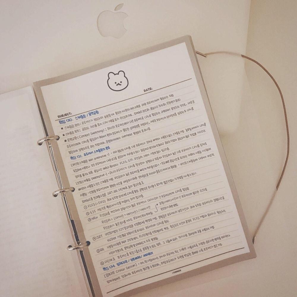 B5 3공 반투명 바인더