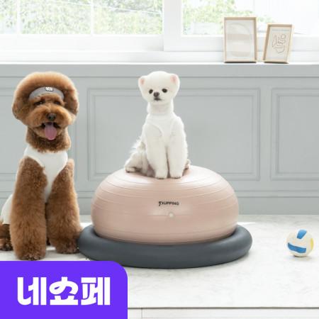 이런 상품 어때요? 퍼핑 강아지짐볼 운동기구 홀더 애견 밸런스볼 펫스쿼트