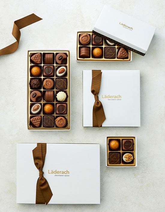 [레더라] 컬렉션 5종