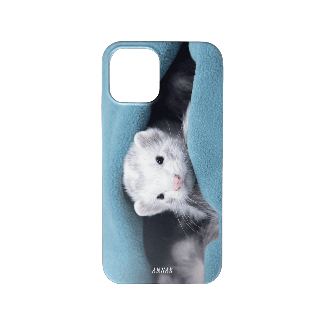 my blue blanket ferret hard case