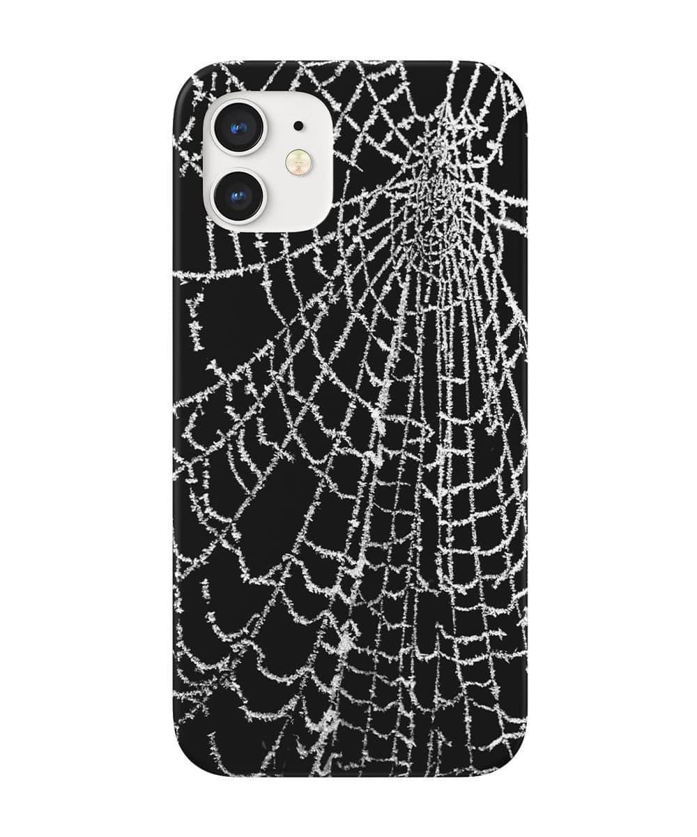 Spider web