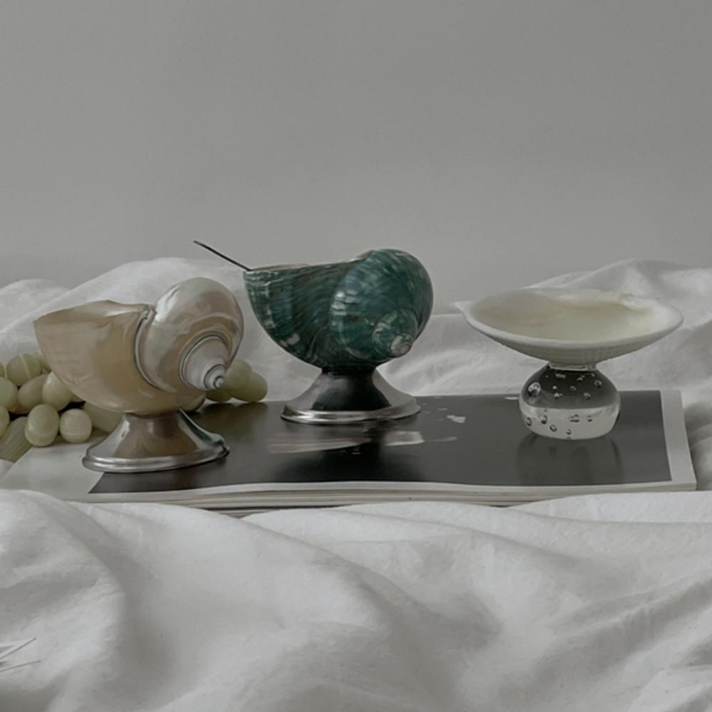 오브젠탈 로우 천연 쉘 오브제 4종