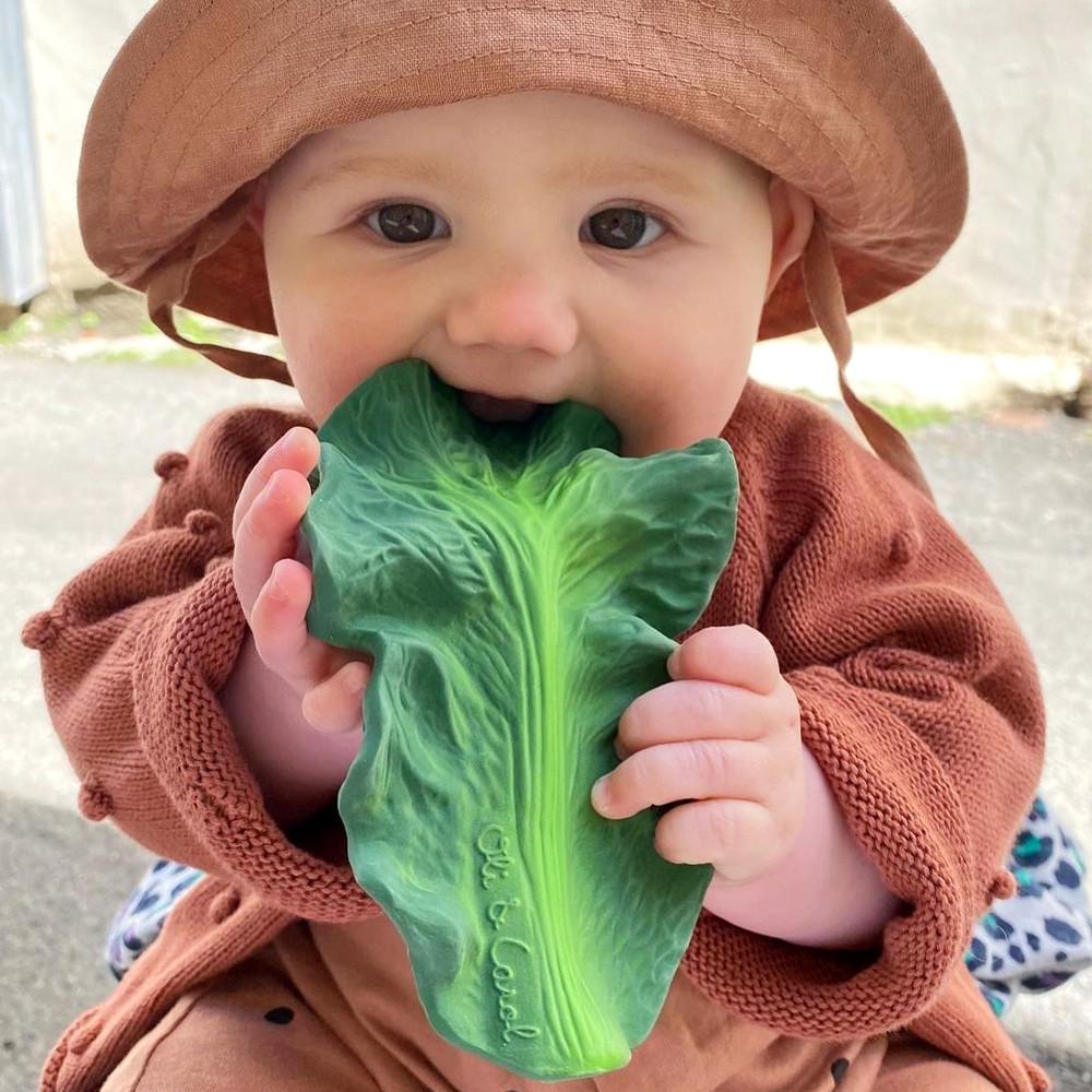 [올리앤캐롤] 켄달더케일 치발기 아기장난감 아기목욕 촉감놀이 EQ개발 신생아선물 백일선물