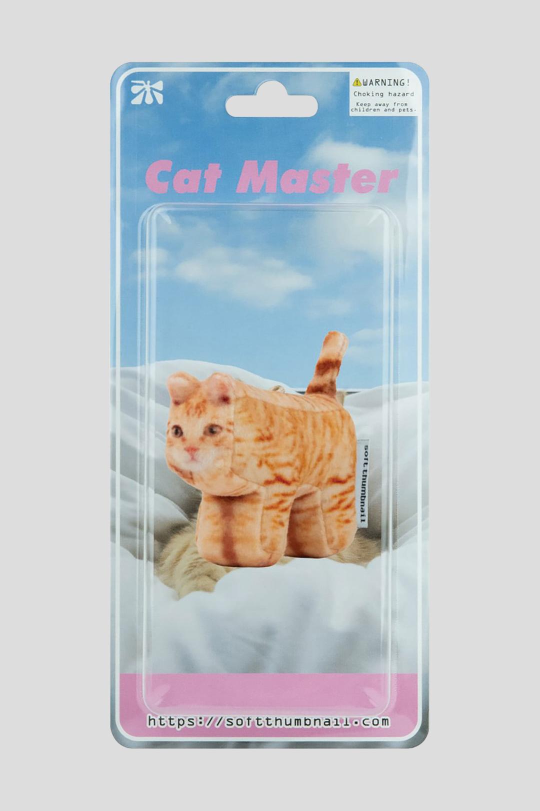 Cheese, Domestic Shorthair