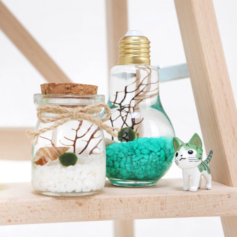 푸딩병 마리모SET 칼라자갈 유리병 diy 수경식물