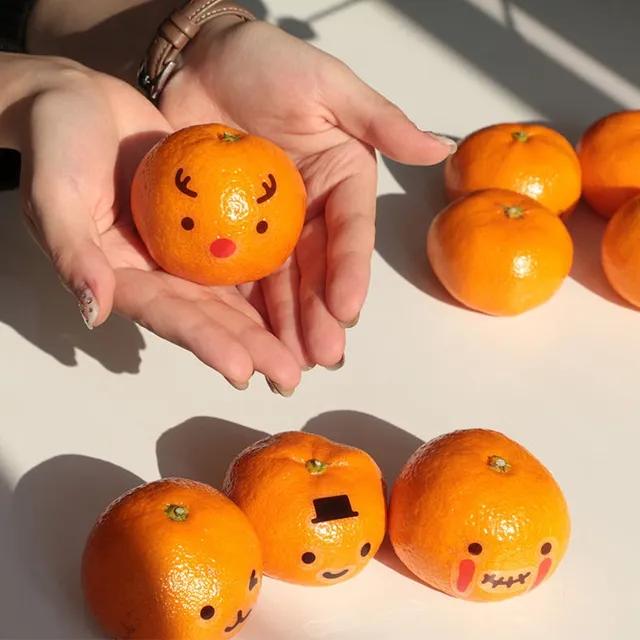 대용량 애완돌 반려돌 귤 표정 스티커 얼굴 꾸미기 만들기 DIY [귀여운 포장 데코]