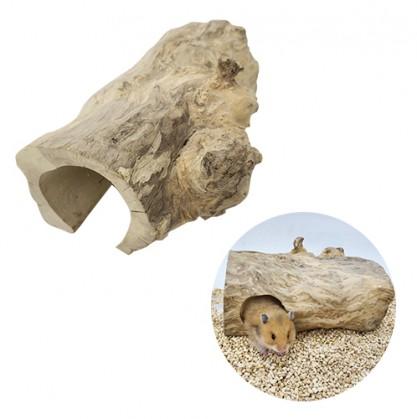 내추럴 자바우드 터널