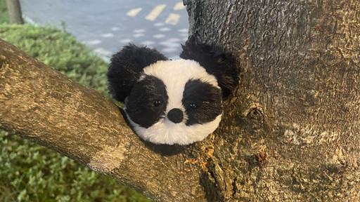 뭉바오 🐼 판다 인형 키링