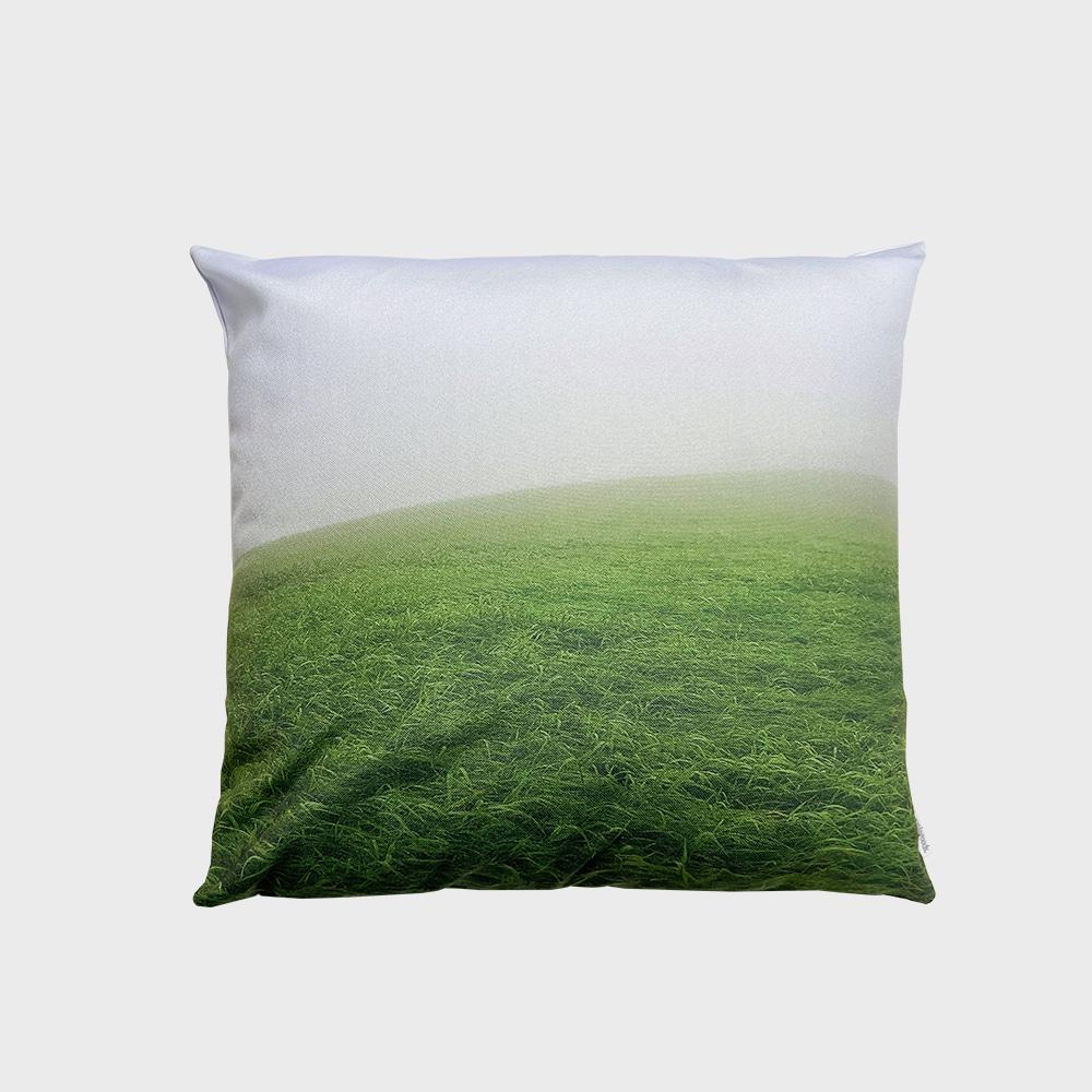 Gangwondo meadow cushion