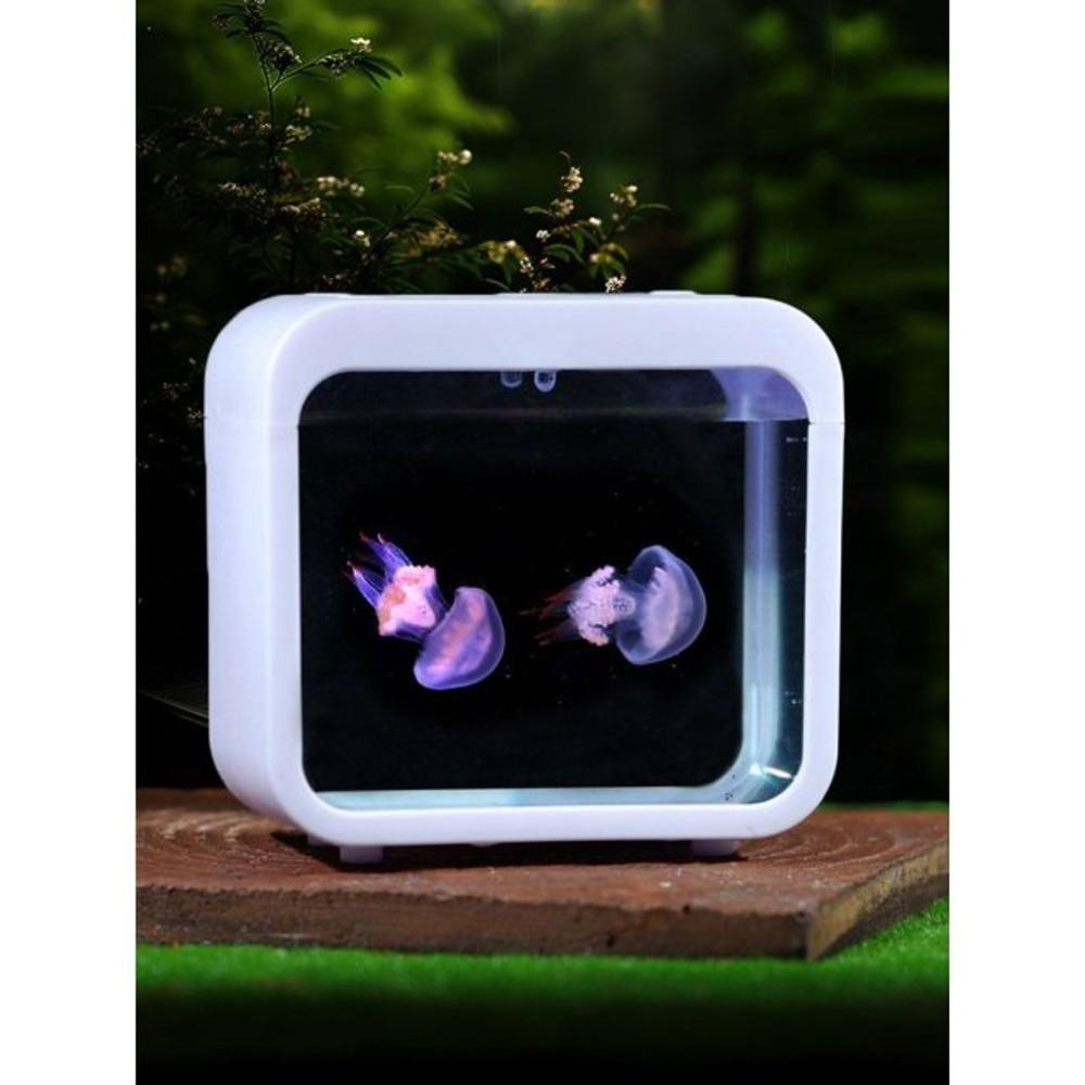 미니 수족관 해파리 어항 키우기 물멍 인테리어 거실