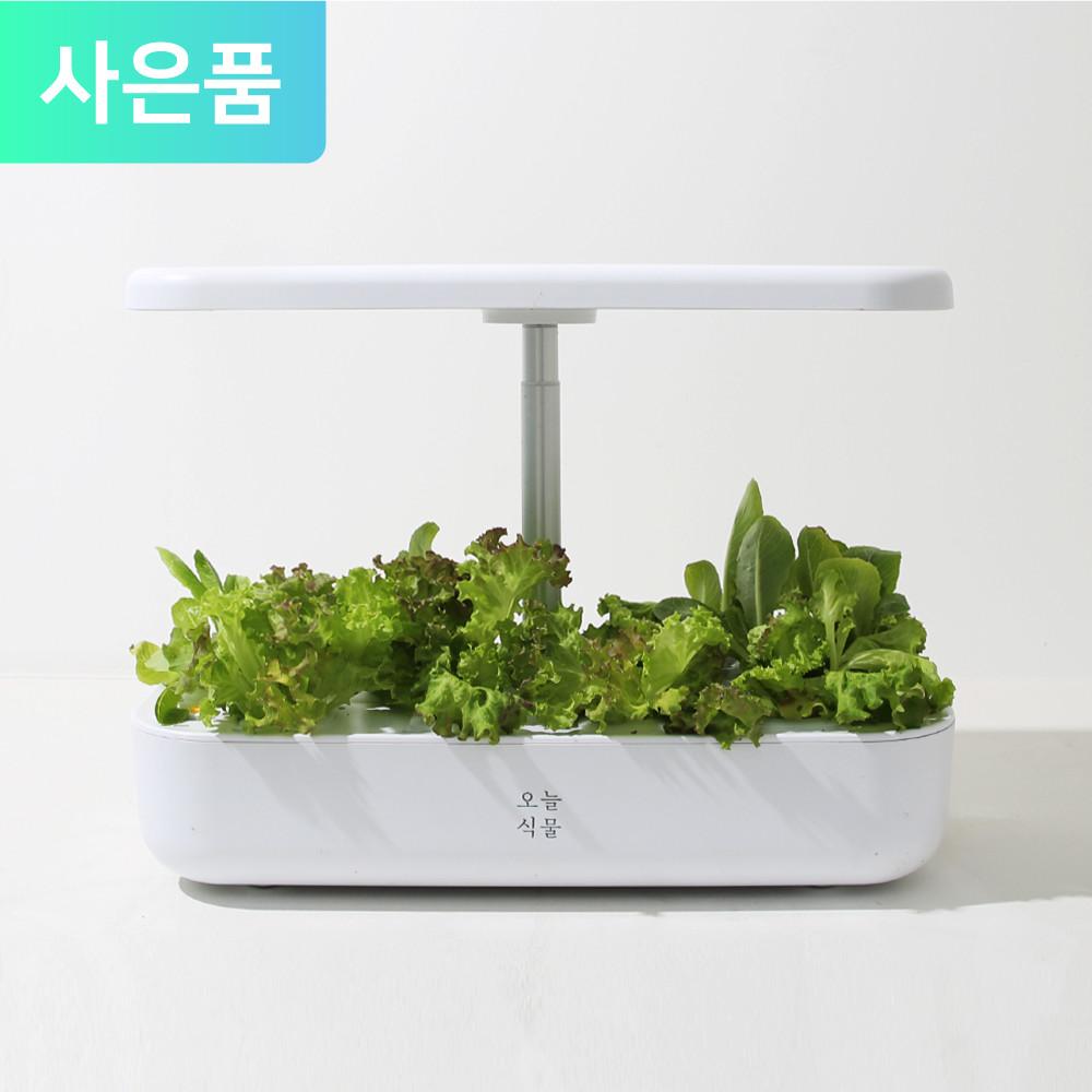 오늘식물 Air 식물재배기 수경재배기 가정용 스마트팜