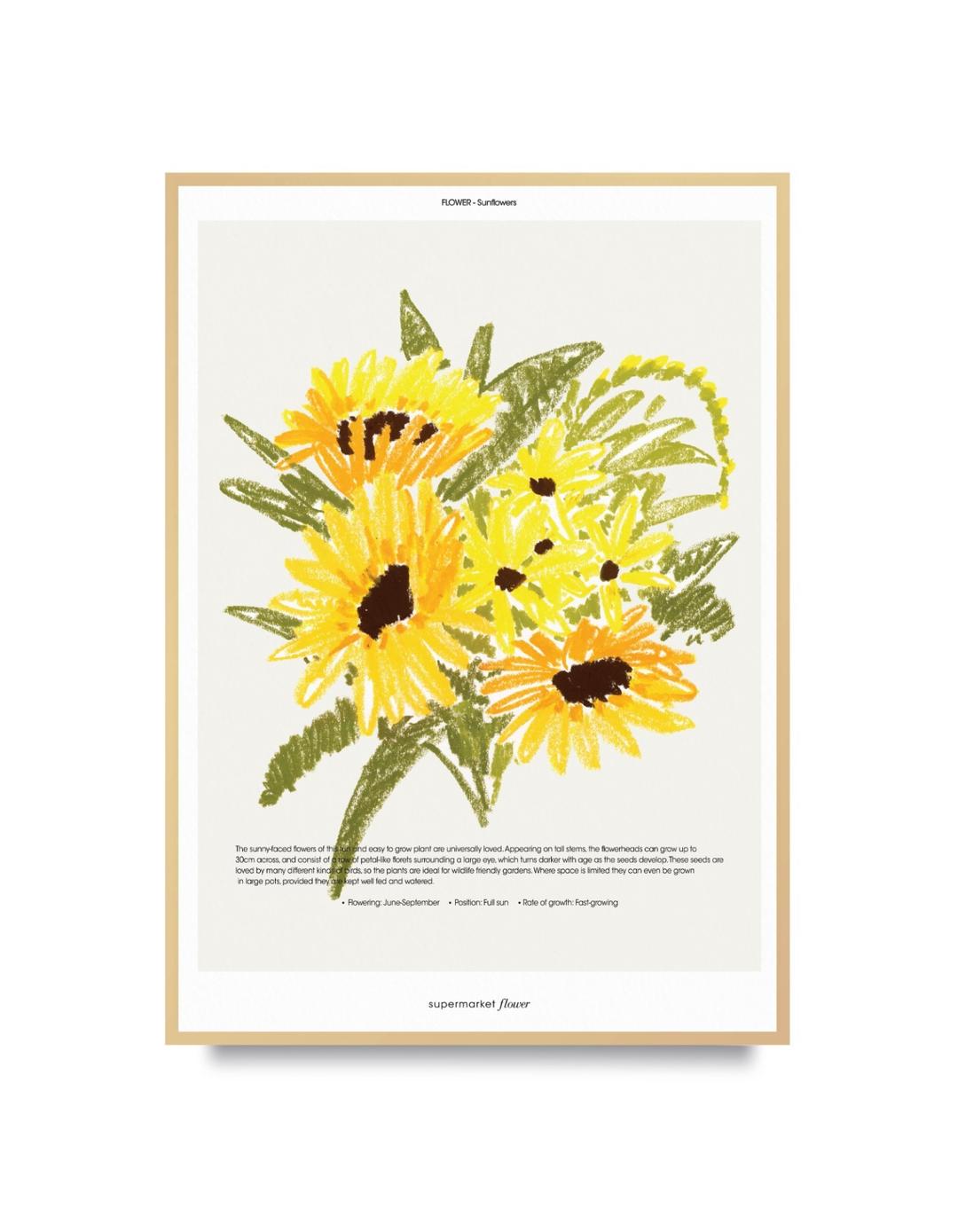 [포스터] Flower Posters 해바라기