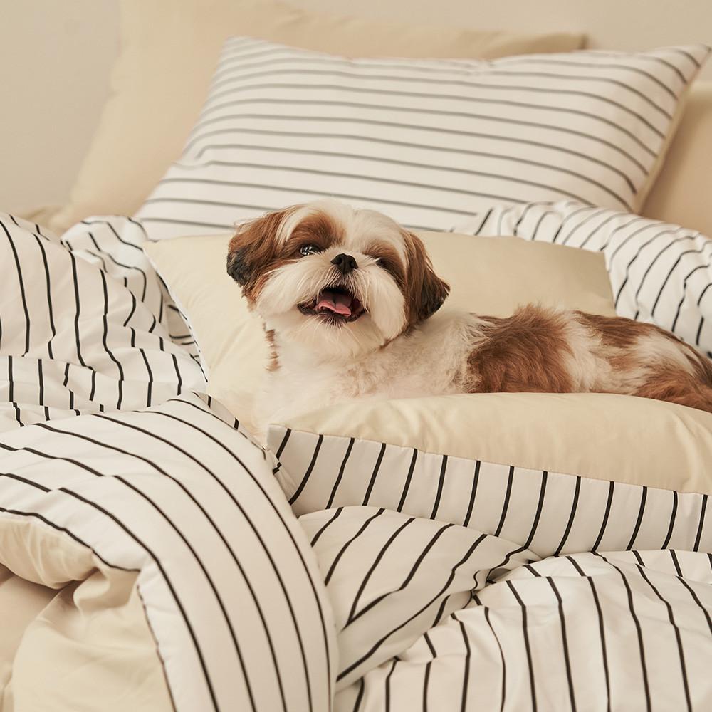 반려동물과 함께 쓰는 알러지케어 나란히 스트라이프 차렵이불