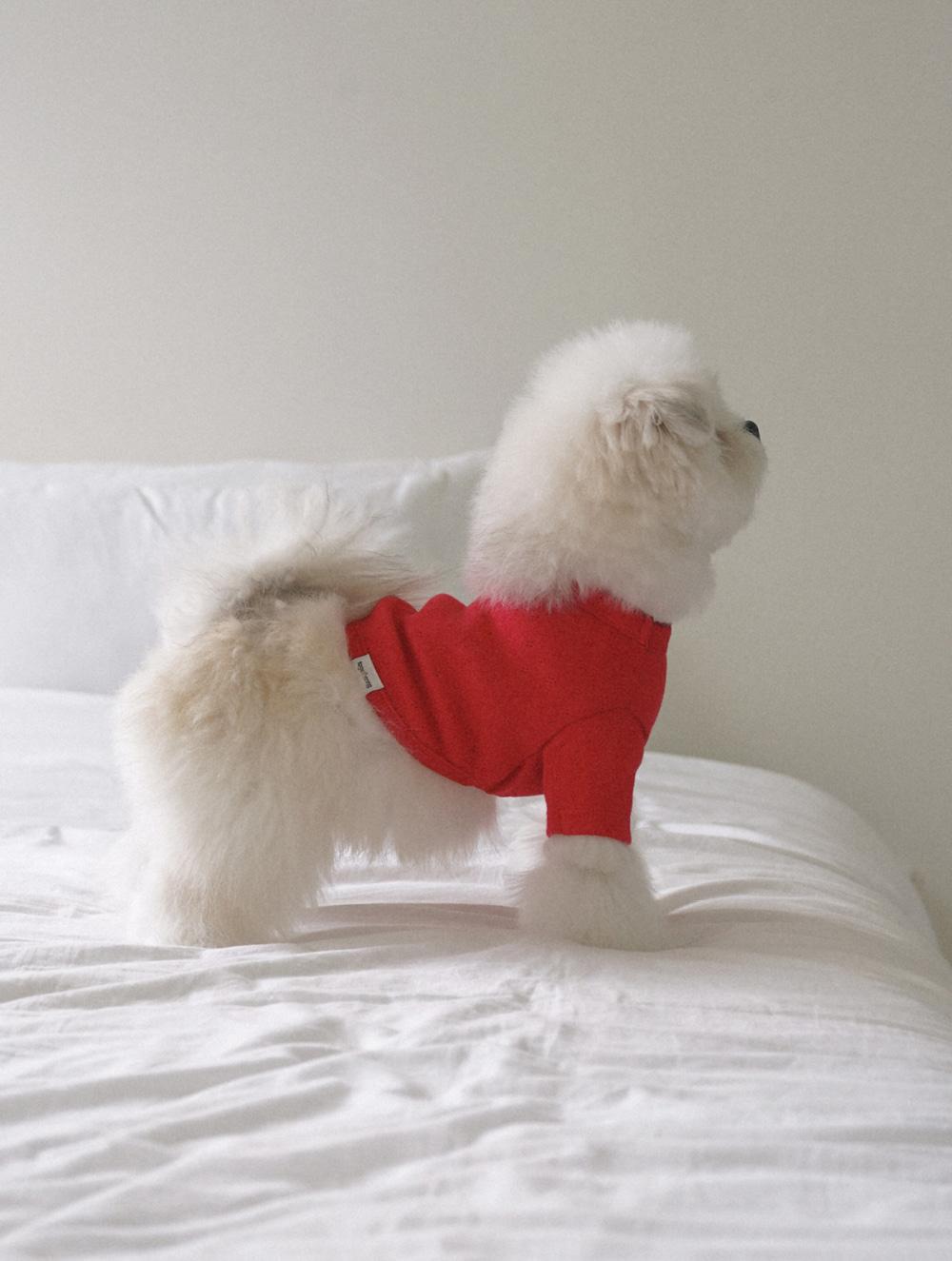 Eyelet Crop T-shirt (Red)