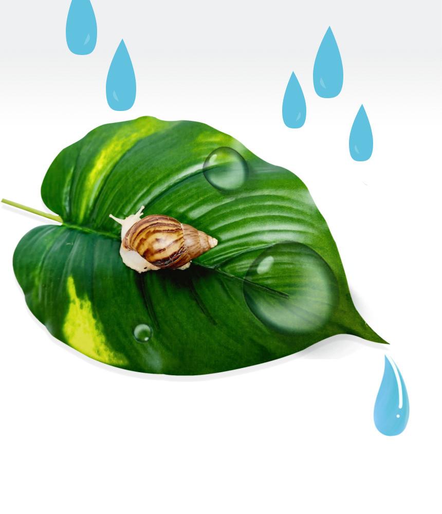 미니 몬스테라 인조 나뭇잎, 달팽이 잎사귀 은신처, 도마뱀, 개구리 침대