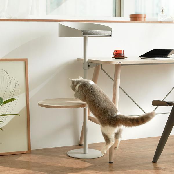 저상형 침대 (SS)