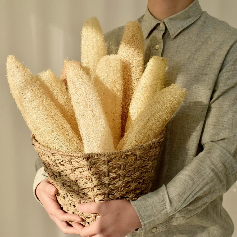 [지미프로젝트] 천연 수세미 루파 제로웨이스트 다용도 어린수세미 20cm내외