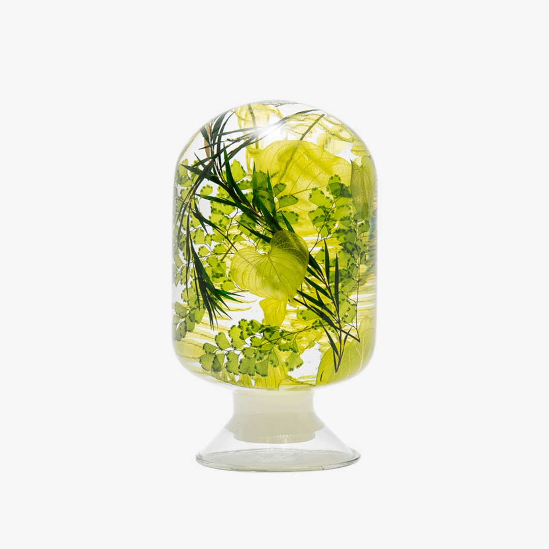 하바리움 - 하트 그라스