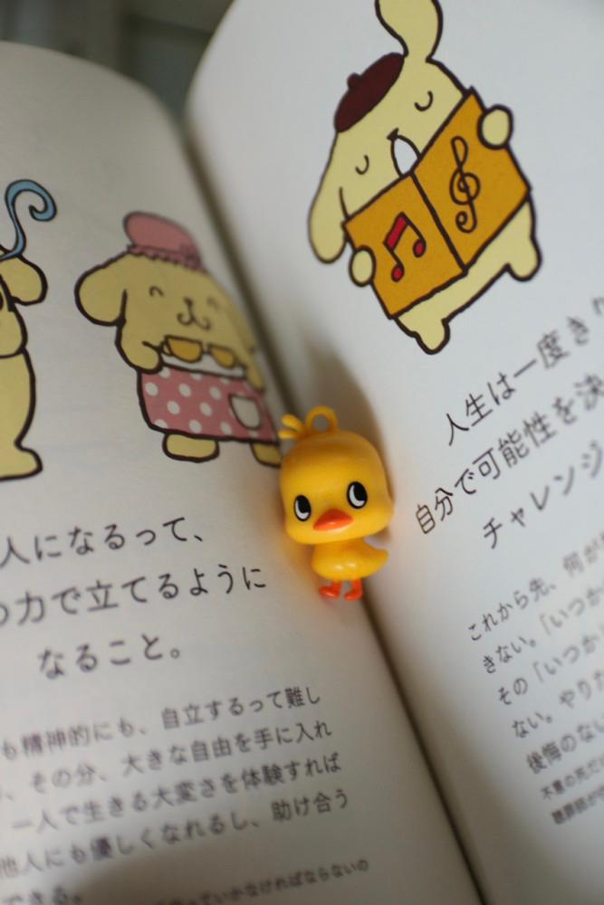 힐끗 병아리 키링