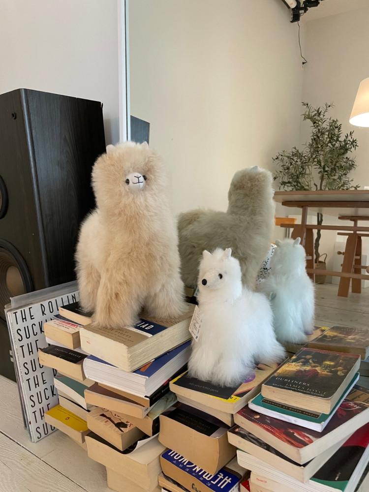 [그레이맨션] Sustainable Alpaca Animal from Peru 알파카 동물 인형