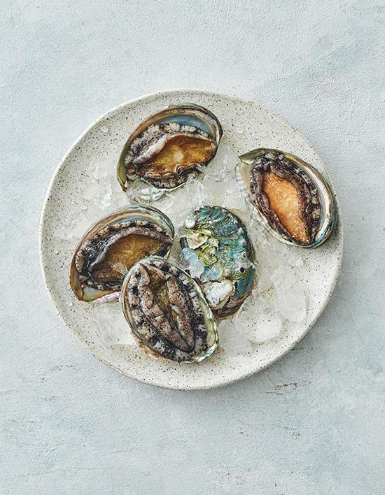 [KF365] 완도 전복 5마리 260g (중, 생물)